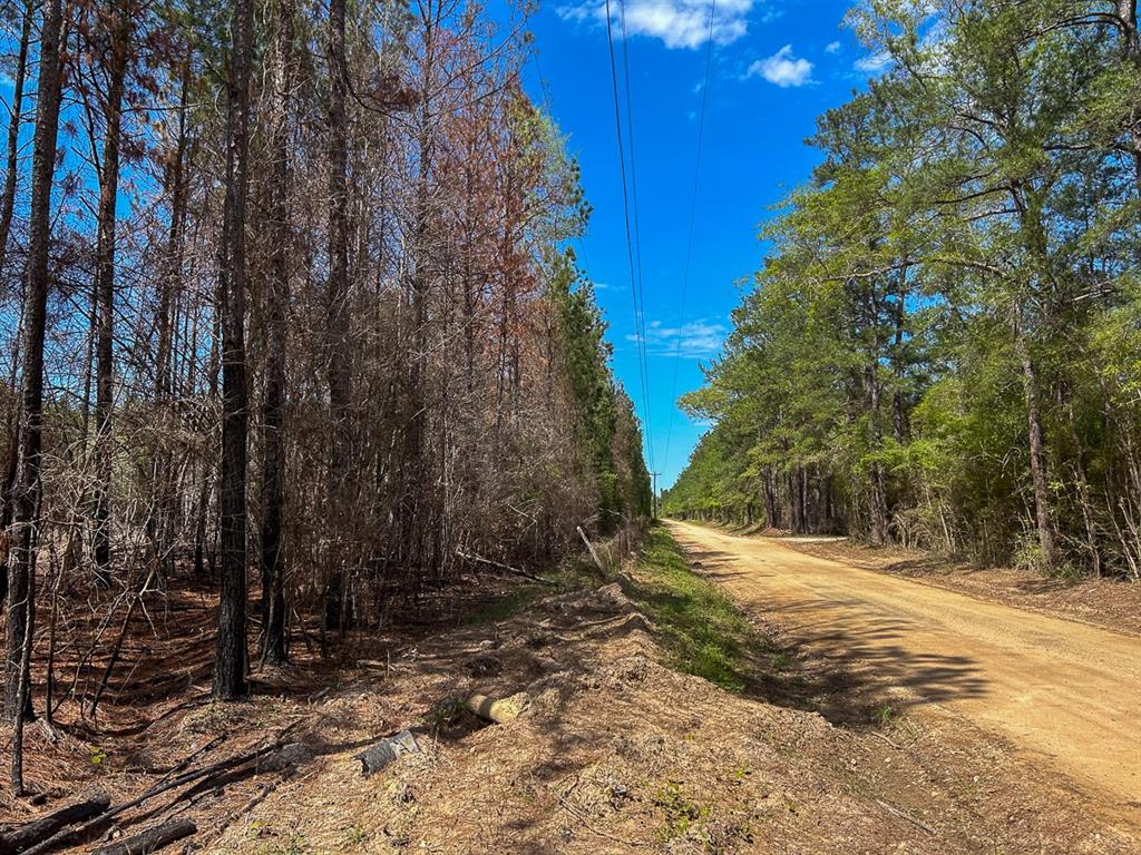 365 County Road 4520, Warren, Texas image 3