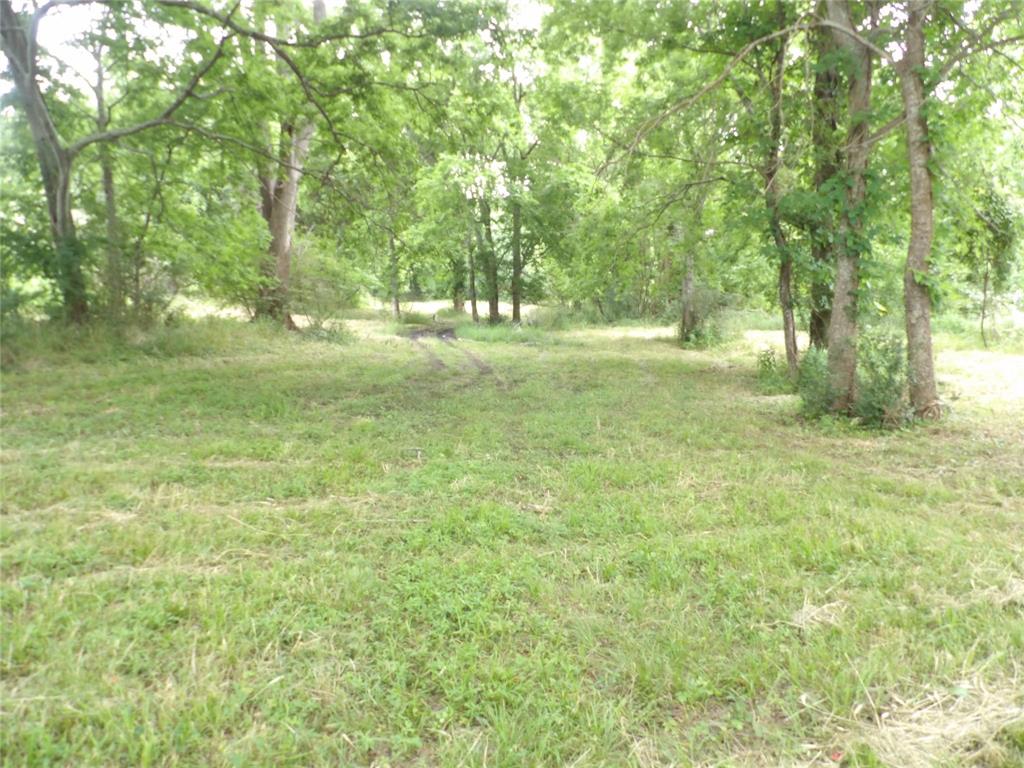 TBD E Beaumont Avenue, Onalaska, Texas image 2