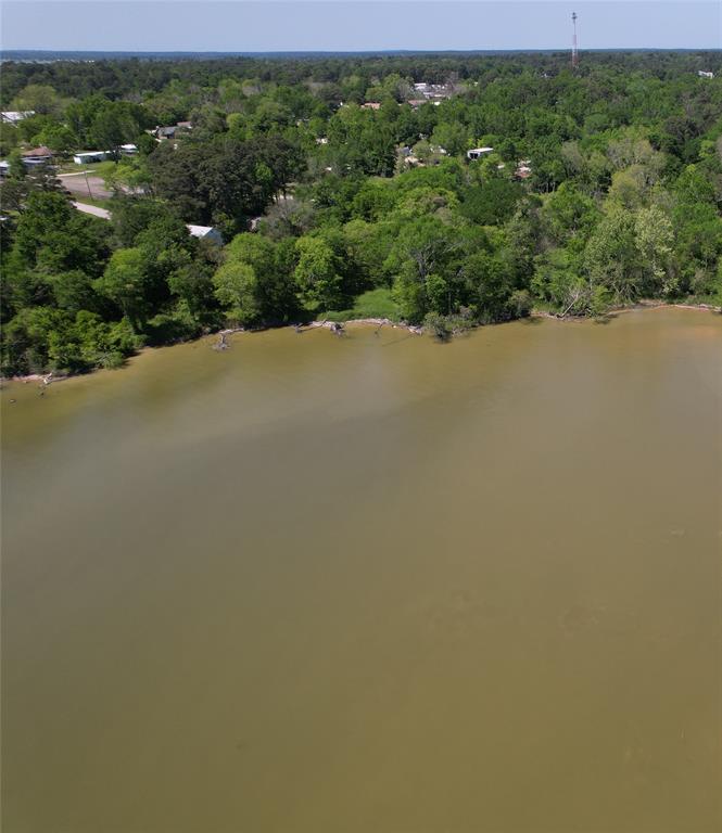 TBD E Beaumont Avenue, Onalaska, Texas image 2