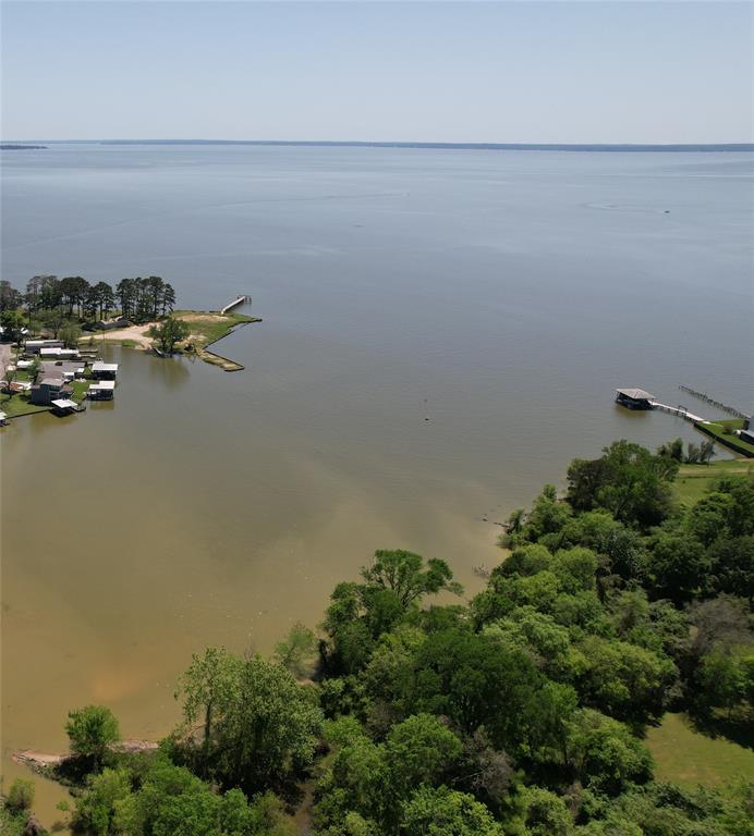TBD E Beaumont Avenue, Onalaska, Texas image 1