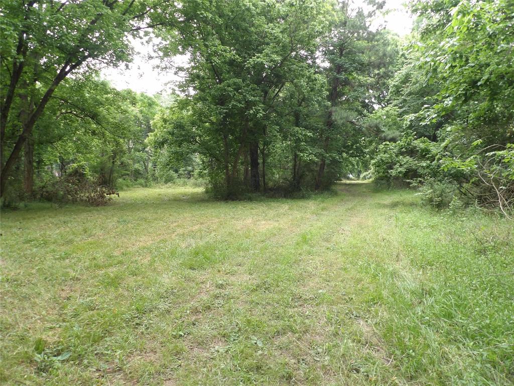 TBD E Beaumont Avenue, Onalaska, Texas image 3
