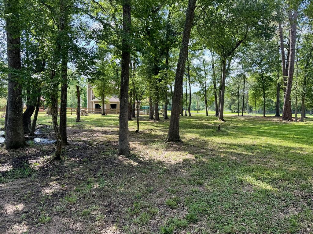 29015 Commons Oaks Drive, Huffman, Texas image 15