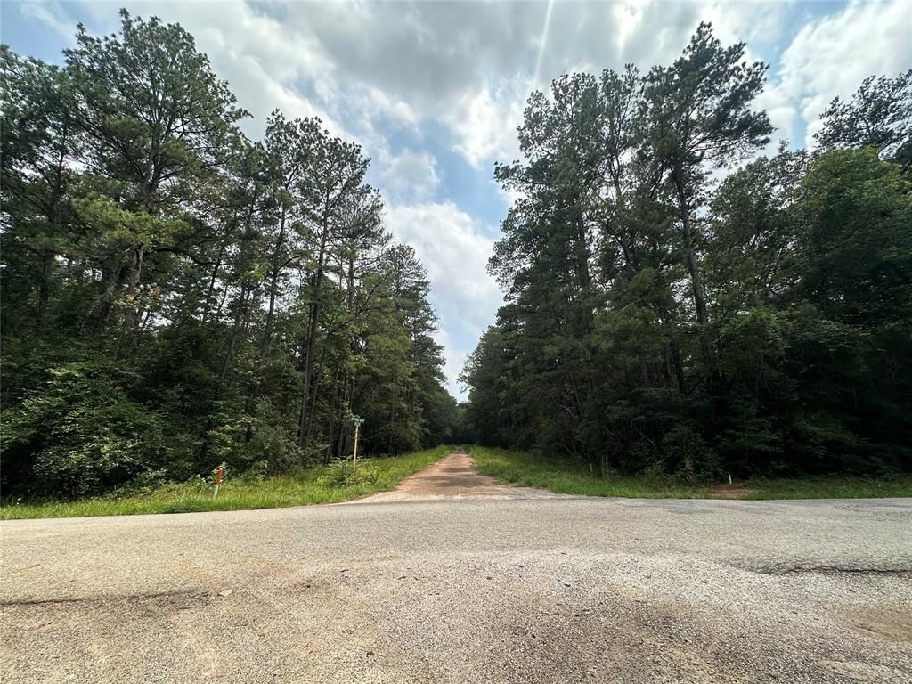 Photo of 19 Appian Way, Roman Forest, TX 77357 (MLS # 52599512)