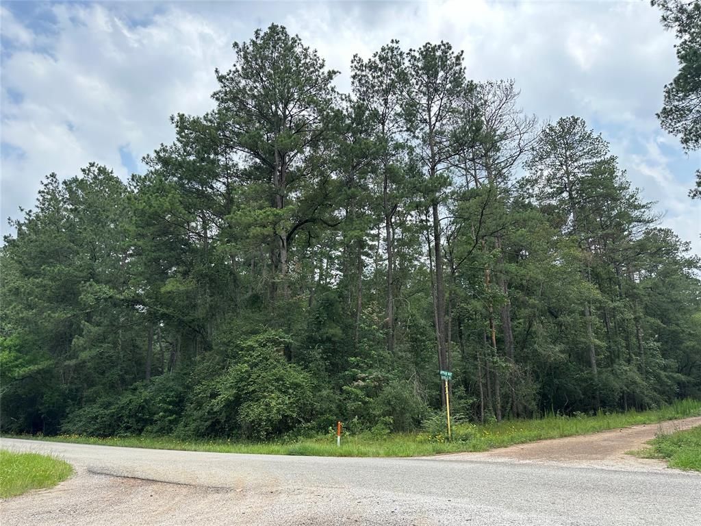 Photo of 19 Appian Way, Roman Forest, TX 77357 (MLS # 52599512)