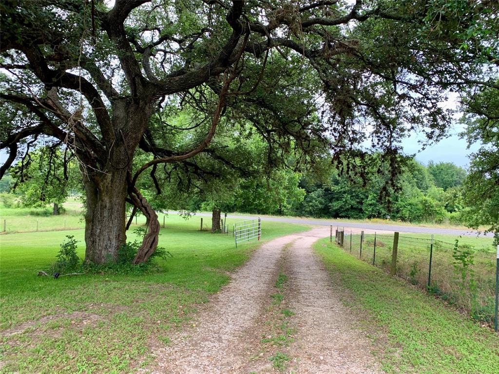 634 W Fm 2237, Muldoon, Texas image 12