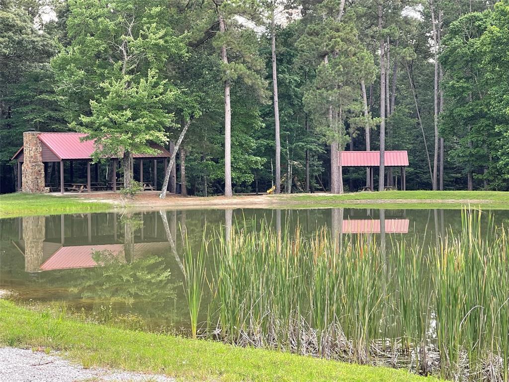 10-22-93 Granite Road, Huntsville, Texas image 14