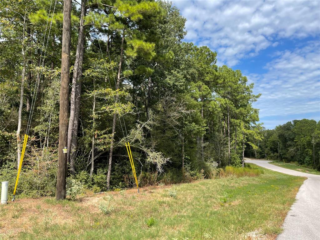 10-22-93 Granite Road, Huntsville, Texas image 4