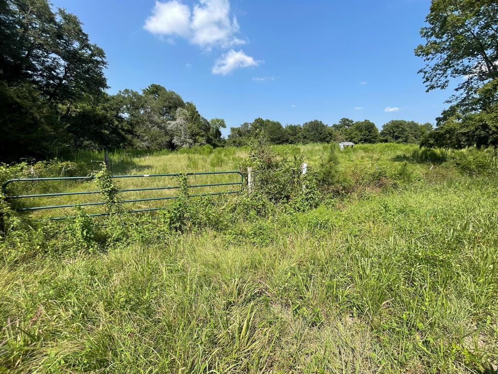 Fm 39, Bedias, Texas image 5