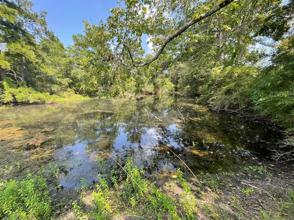 Fm 39, Bedias, Texas image 12