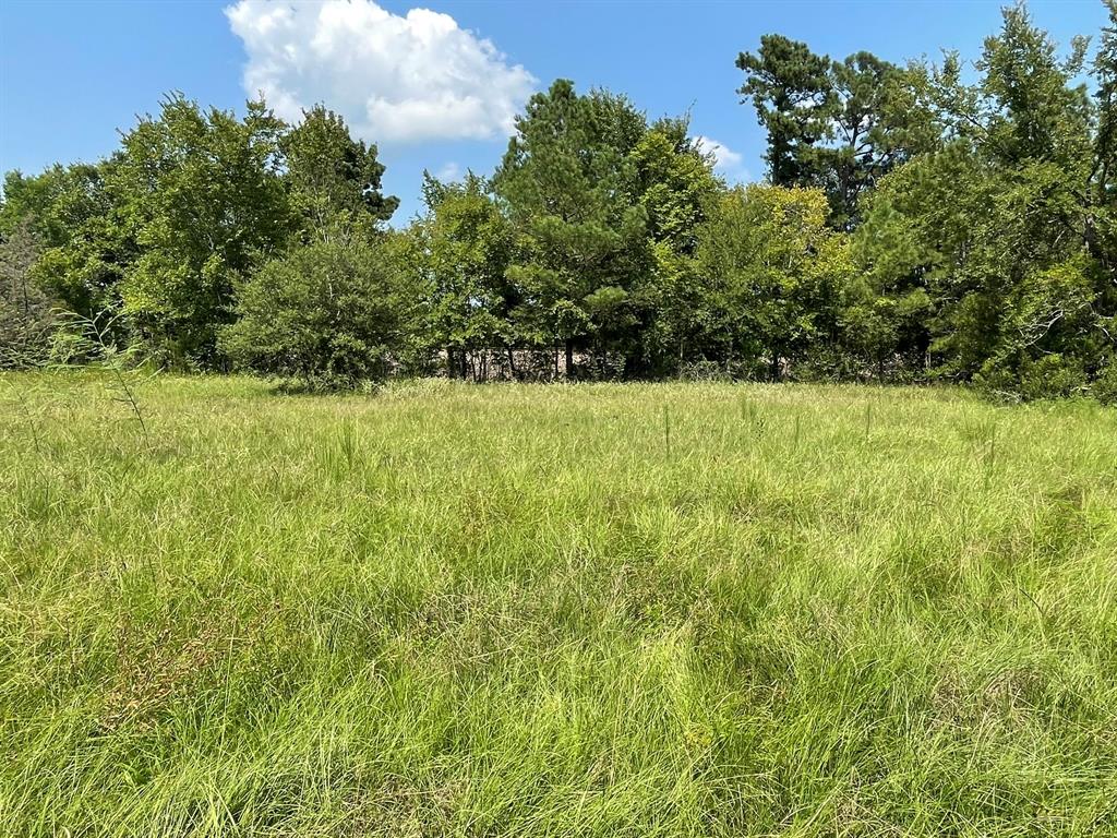 Fm 39, Bedias, Texas image 18