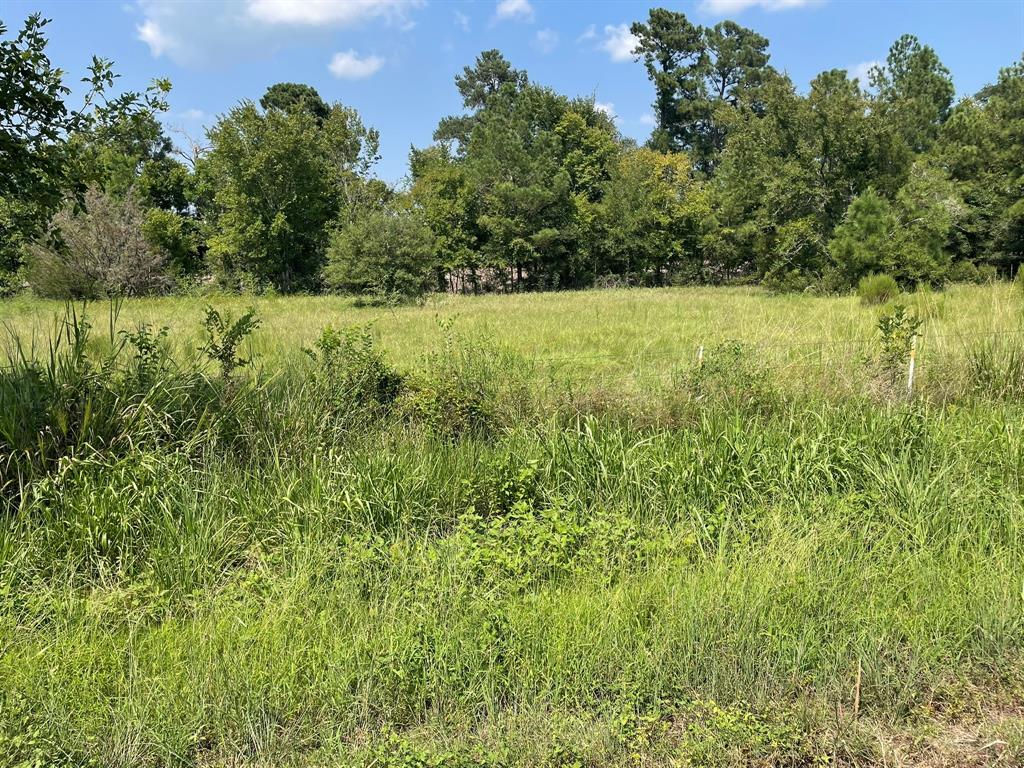 Fm 39, Bedias, Texas image 19