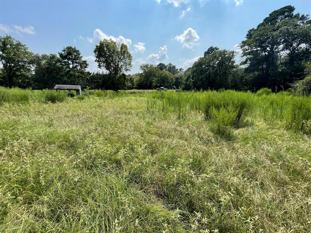 Fm 39, Bedias, Texas image 23