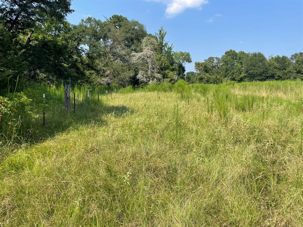 Fm 39, Bedias, Texas image 26