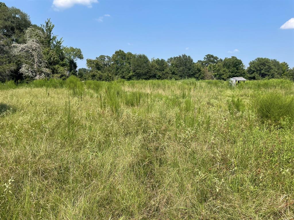 Fm 39, Bedias, Texas image 27