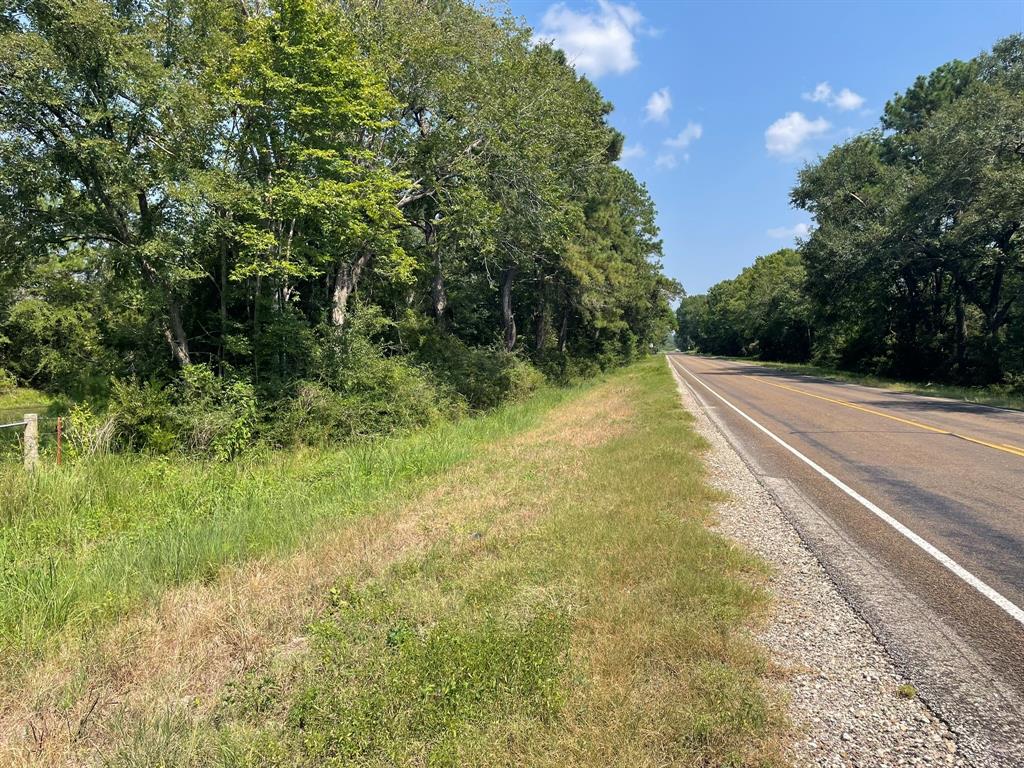 Fm 39, Bedias, Texas image 6