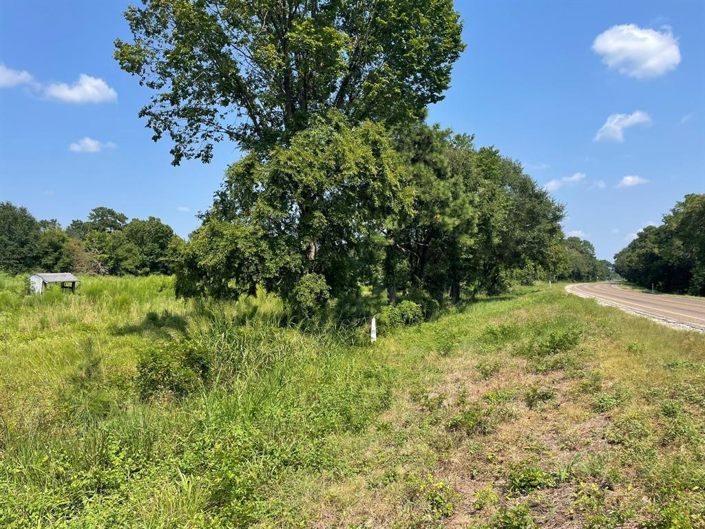 Fm 39, Bedias, Texas image 20