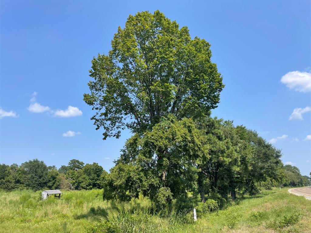 Fm 39, Bedias, Texas image 4