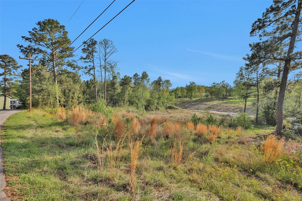 8 Lake Shore Lane, Riverside, Texas image 3