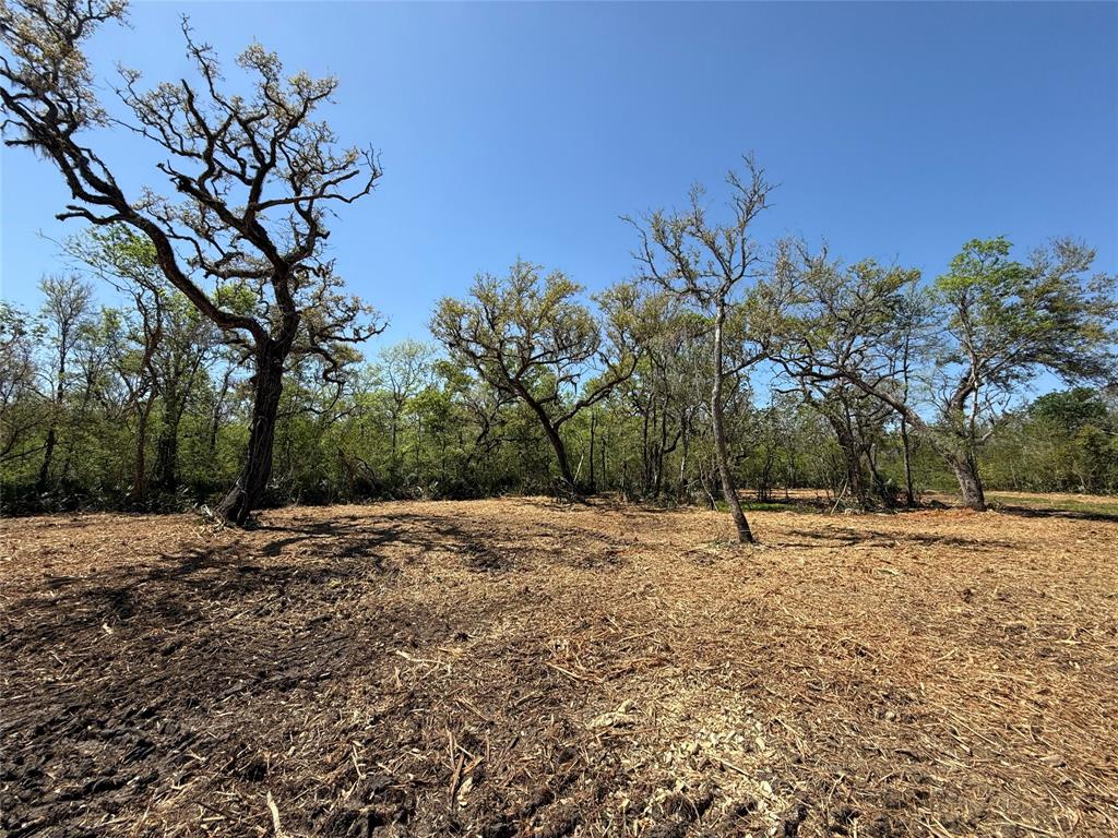 Harlem Street, Sweeny, Texas image 7