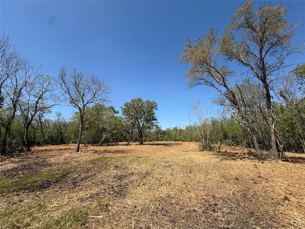 Harlem Street, Sweeny, Texas image 4