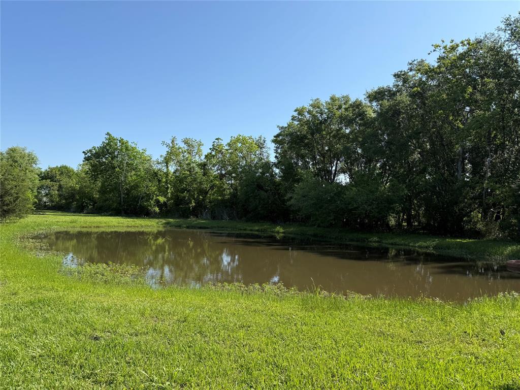 8703 County Road 48, Rosharon, Texas image 33