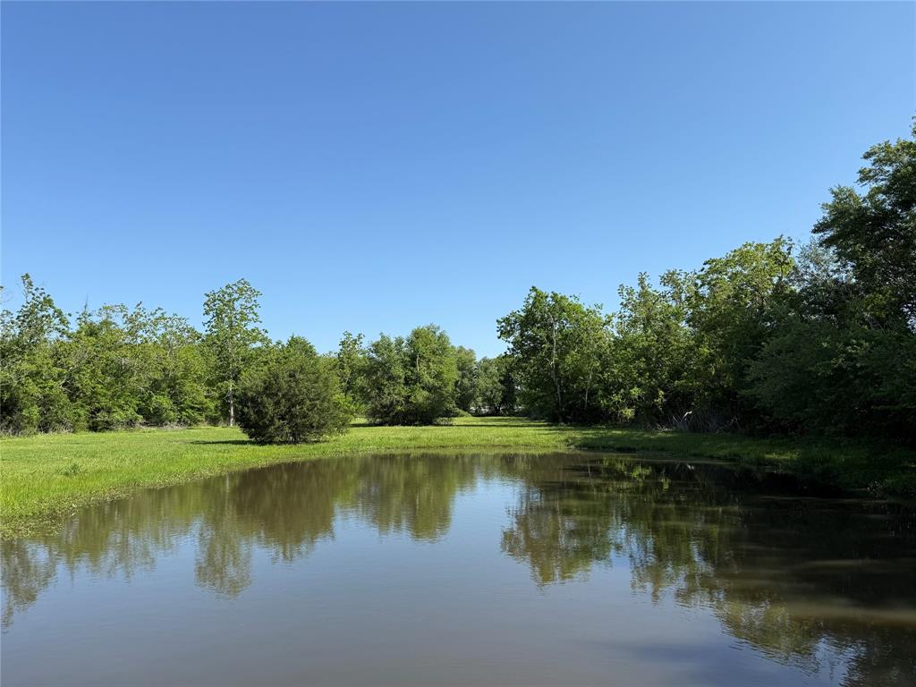 8703 County Road 48, Rosharon, Texas image 34