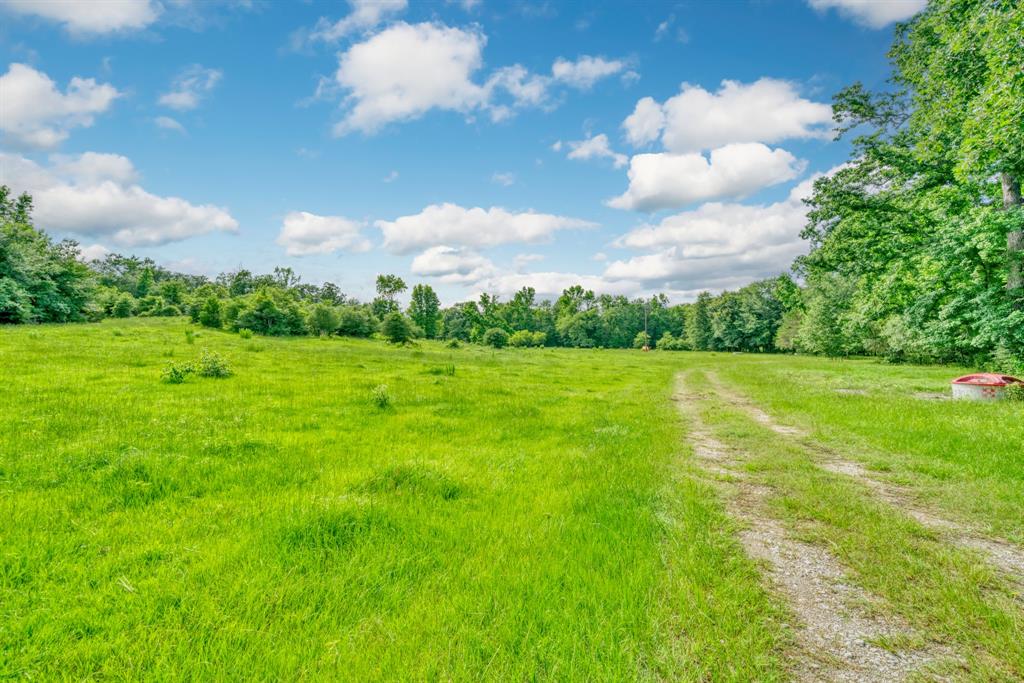 133 Acres US Highway 79 W