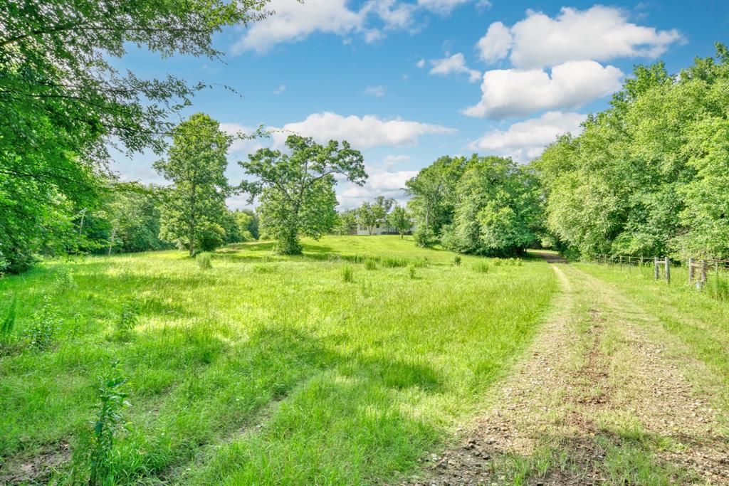 133 Acres US Highway 79 W