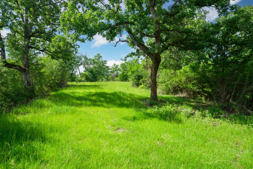 133 Acres US Highway 79 W