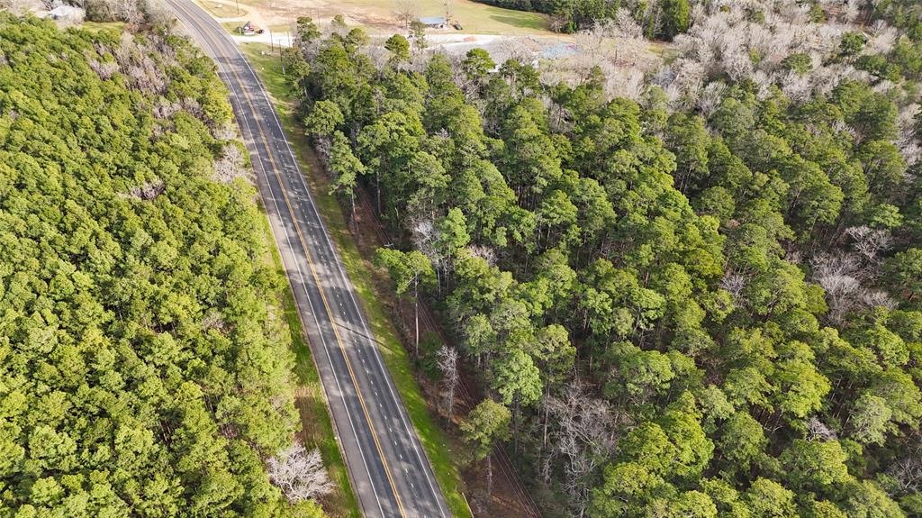 TBD Hwy 150, Coldspring, Texas image 13