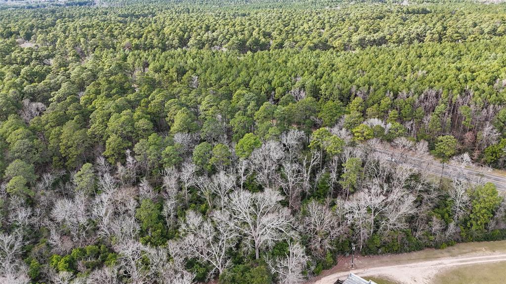 TBD Hwy 150, Coldspring, Texas image 16