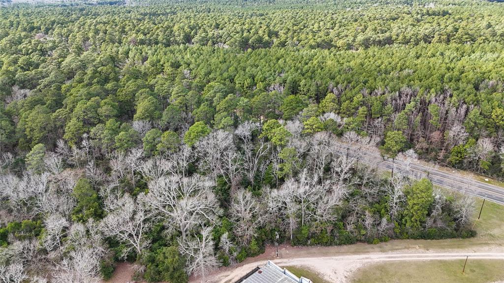 TBD Hwy 150, Coldspring, Texas image 17