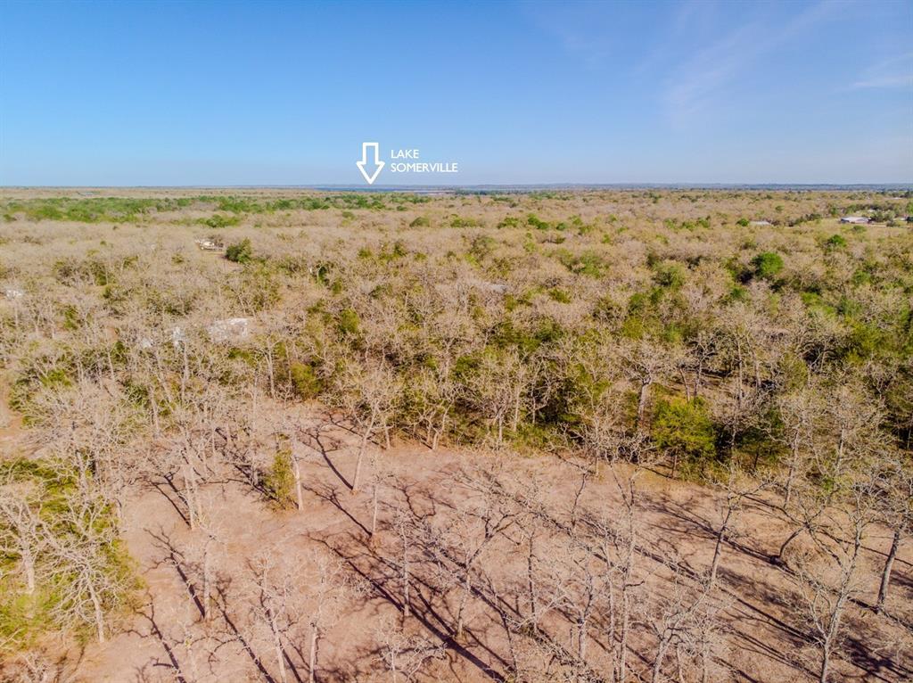 511 Forest Oak Road, Somerville, Texas image 2