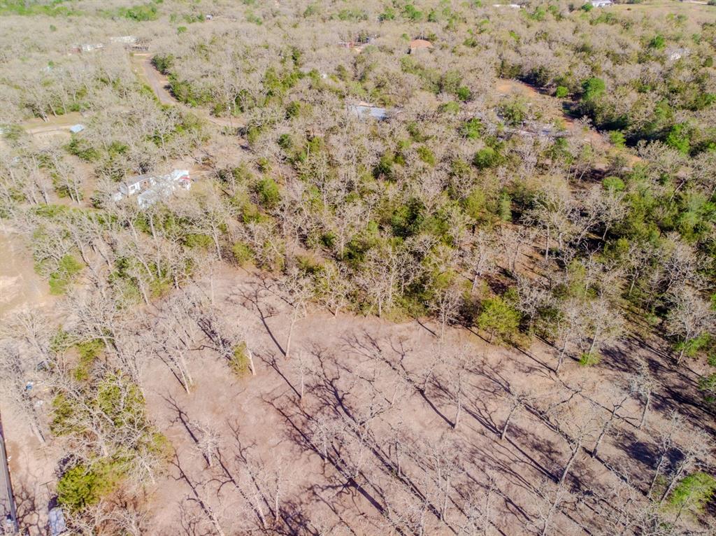 511 Forest Oak Road, Somerville, Texas image 3