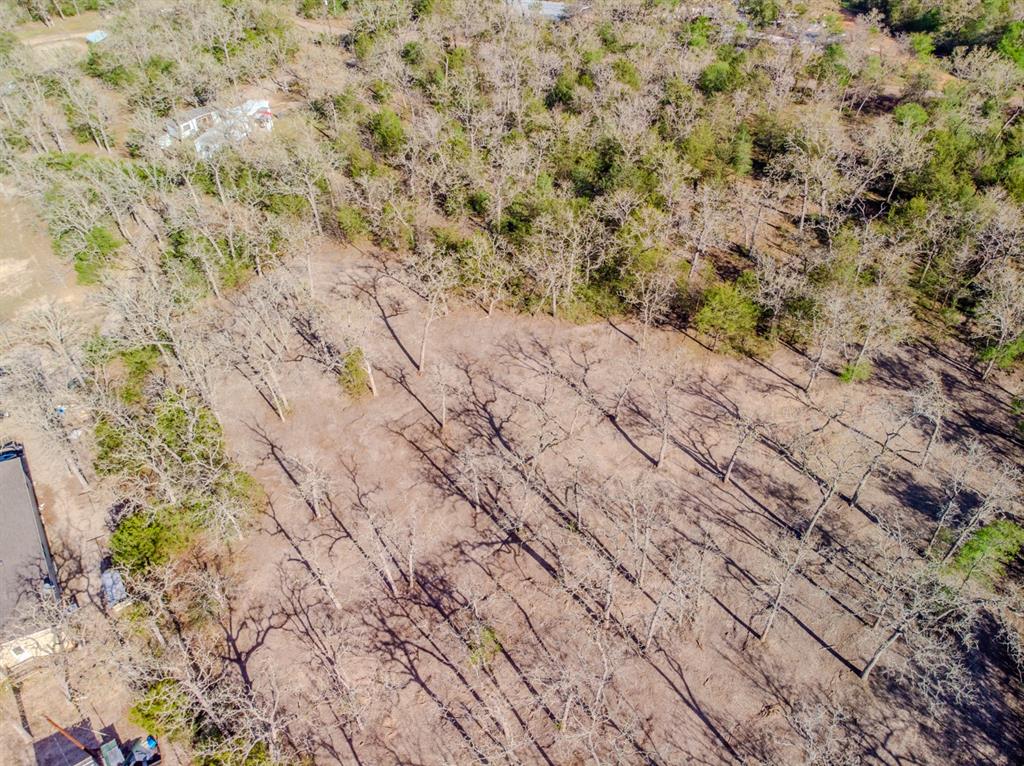 511 Forest Oak Road, Somerville, Texas image 4