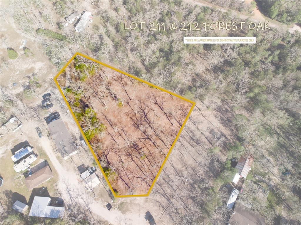 511 Forest Oak Road, Somerville, Texas image 1