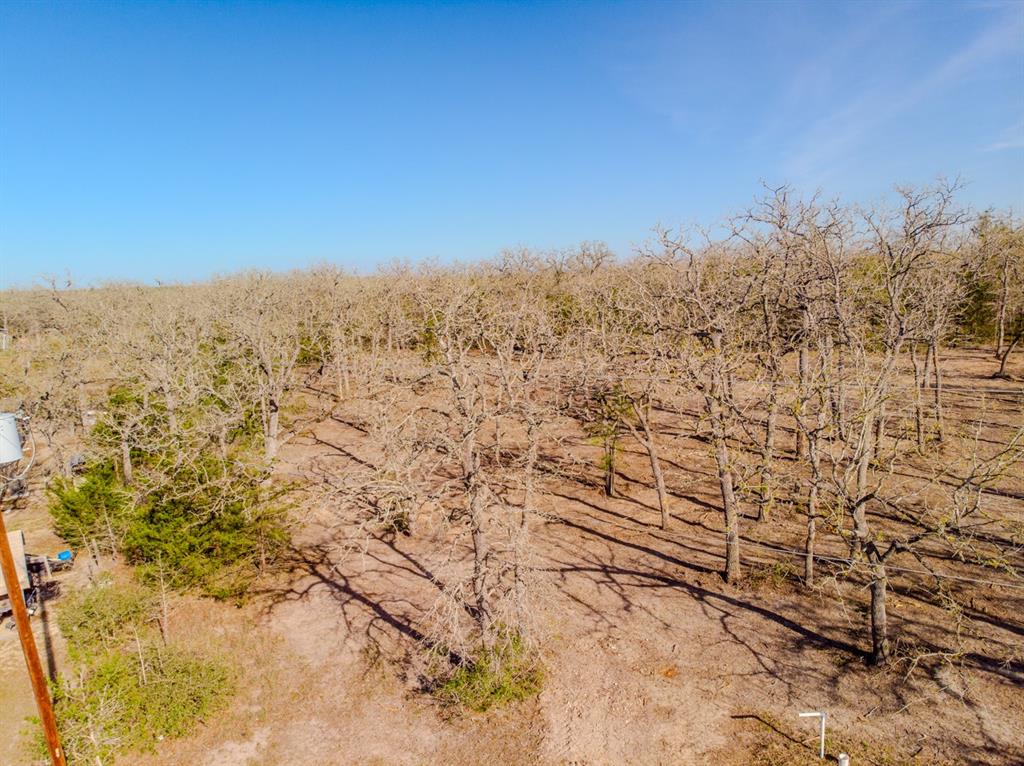511 Forest Oak Road, Somerville, Texas image 10