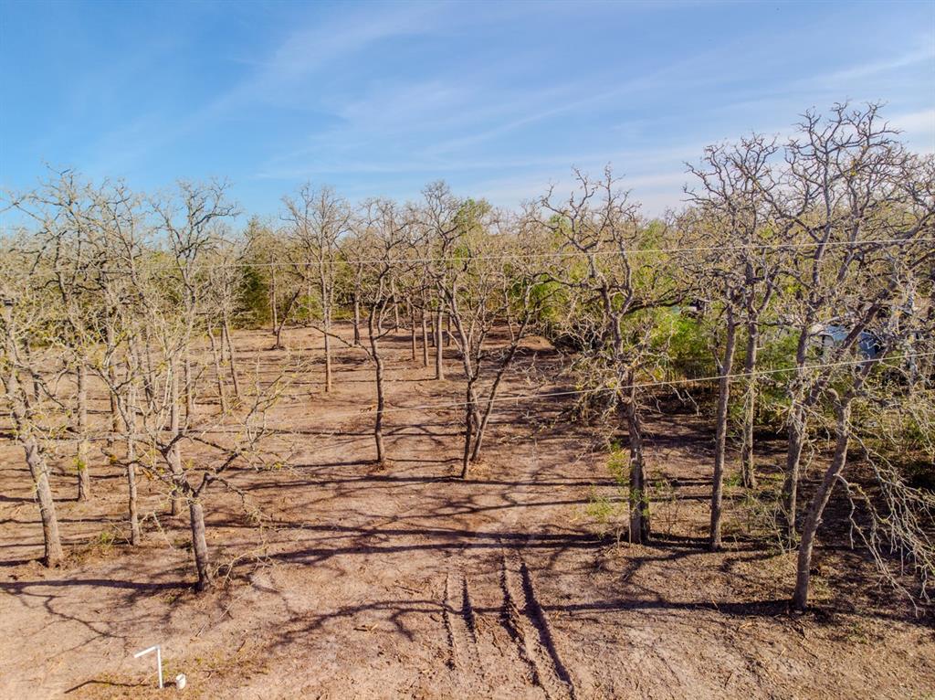 511 Forest Oak Road, Somerville, Texas image 8
