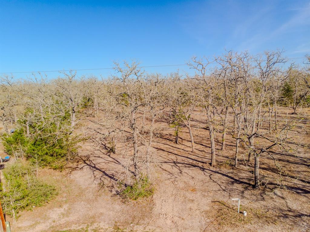 511 Forest Oak Road, Somerville, Texas image 7