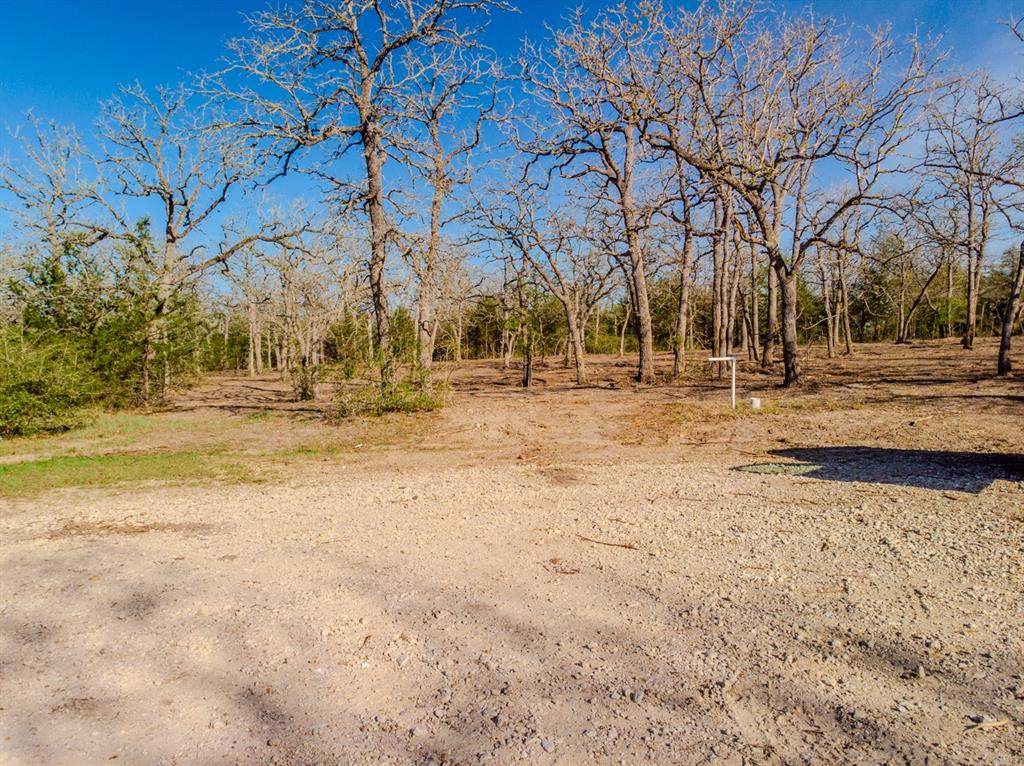 511 Forest Oak Road, Somerville, Texas image 12