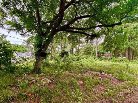 Lot 1 Walkwood Drive Willis TX 77318