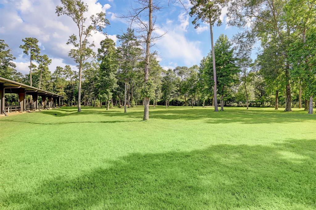 41311 Woodway Manor Drive Street, Magnolia, Texas image 9