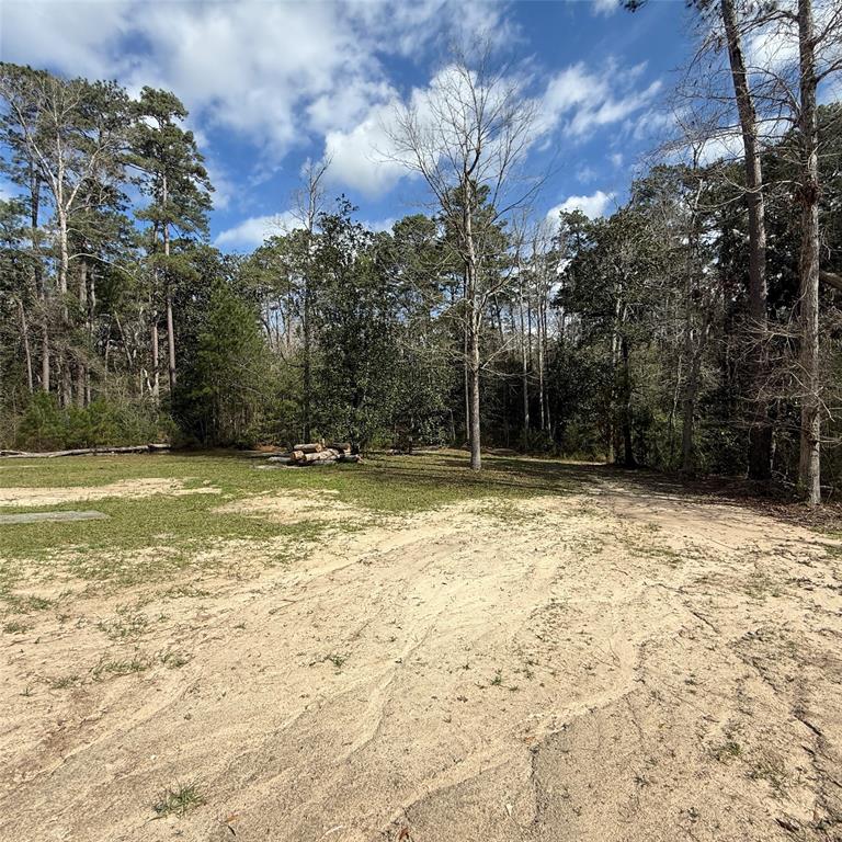 205 Charles Keyes Lane, Livingston, Texas image 4