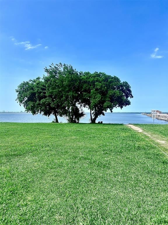 239 Bay Oaks Drive, La Porte, Texas image 45