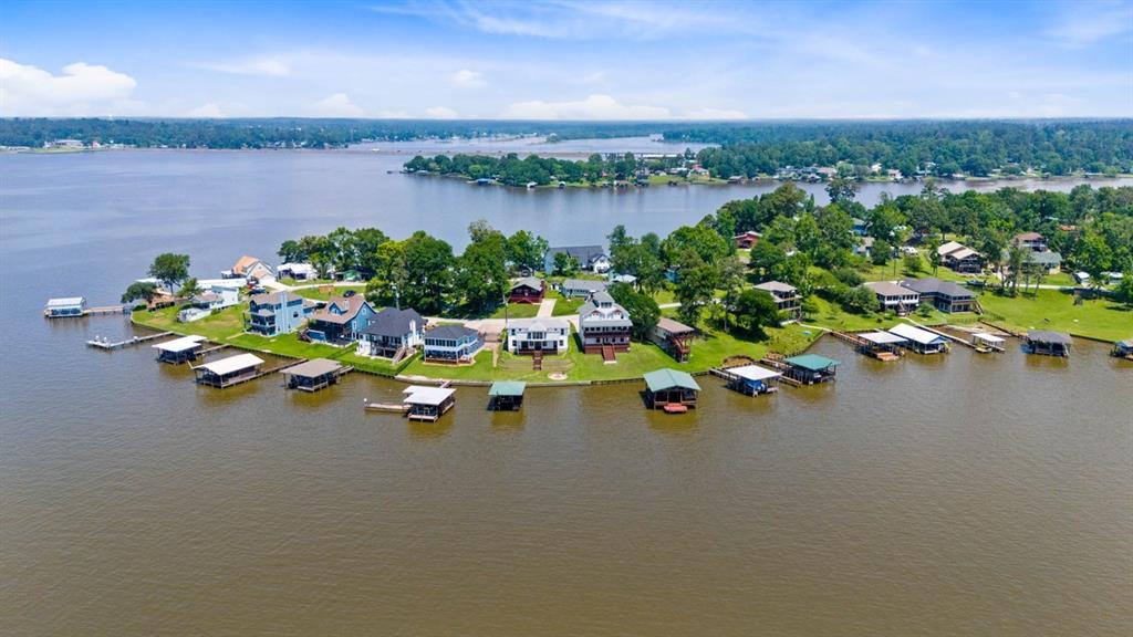 650 Dove Island, Livingston, Texas image 42