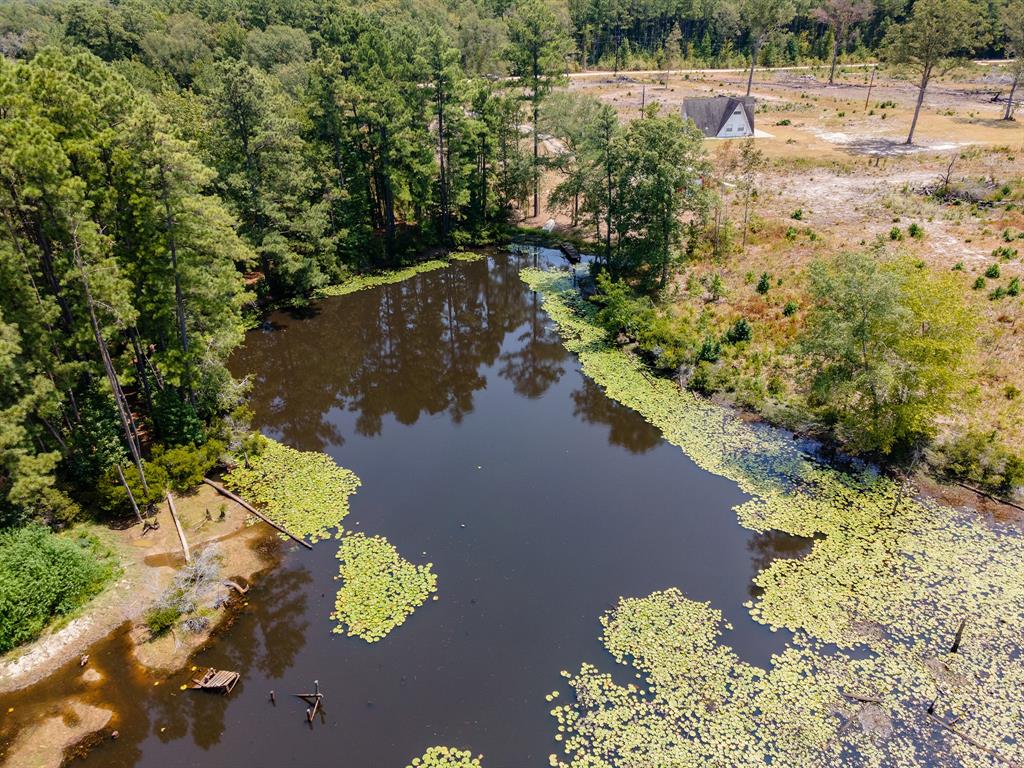 559 County Rd 1110, Rusk, Texas image 11