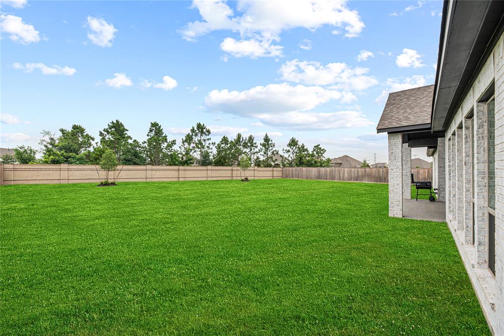 21511 Blue Porterweed Trail