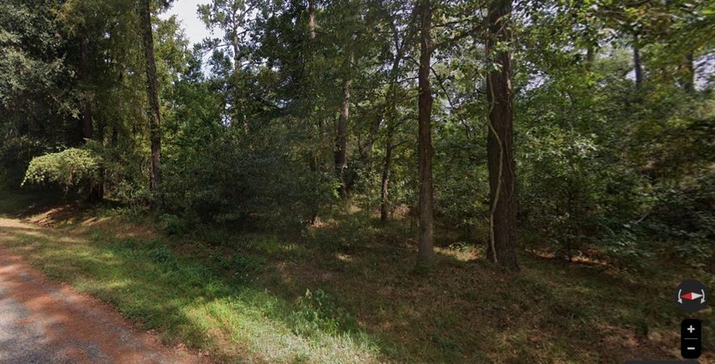South Shore Drive, Humble, Texas image 5