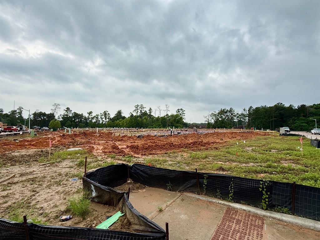231 Springfield Terrace Court, Conroe, Texas image 15