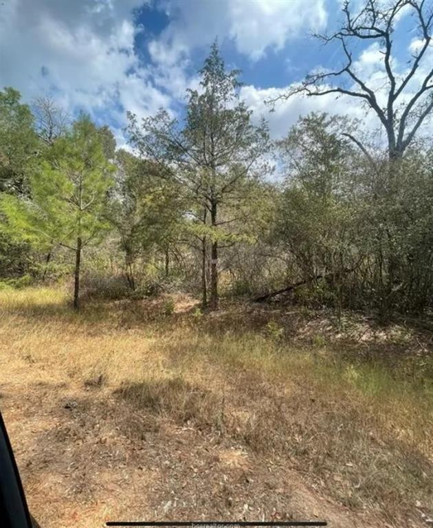000 Lot 32 And 33 Jackrabbit Dr, Hempstead, Texas image 5